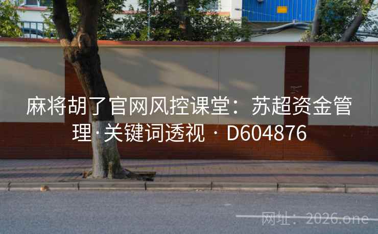 麻将胡了官网风控课堂：苏超资金管理·关键词透视 · D604876  第1张