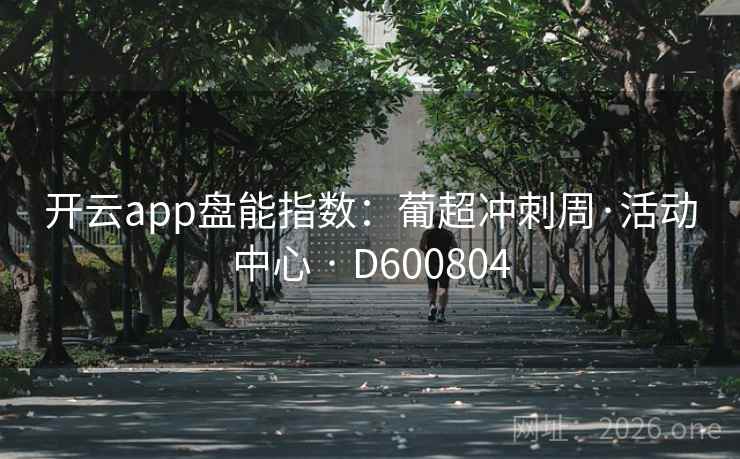 开云app盘能指数：葡超冲刺周·活动中心 · D600804