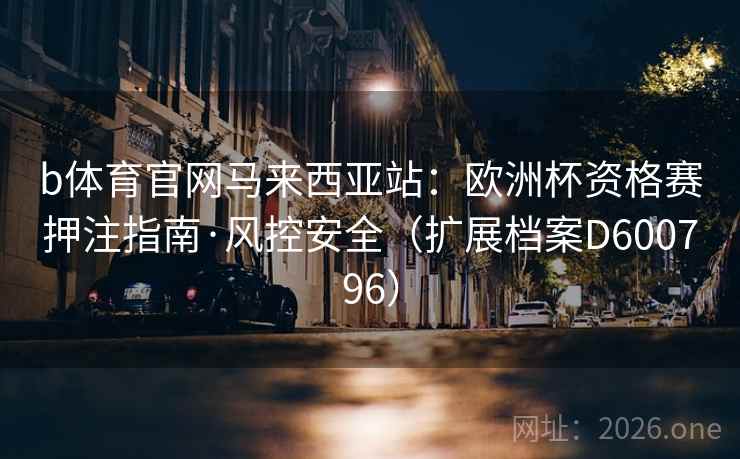 b体育官网马来西亚站：欧洲杯资格赛押注指南·风控安全（扩展档案D600796）  第1张