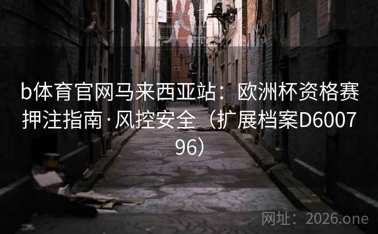 b体育官网马来西亚站：欧洲杯资格赛押注指南·风控安全（扩展档案D600796）  第2张